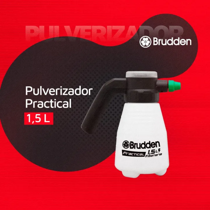 Brudden